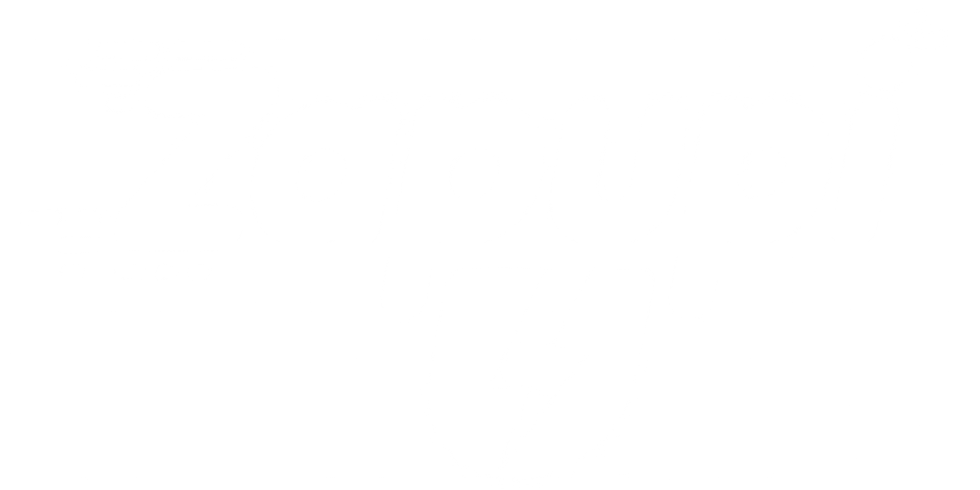 ZapUPI Logo